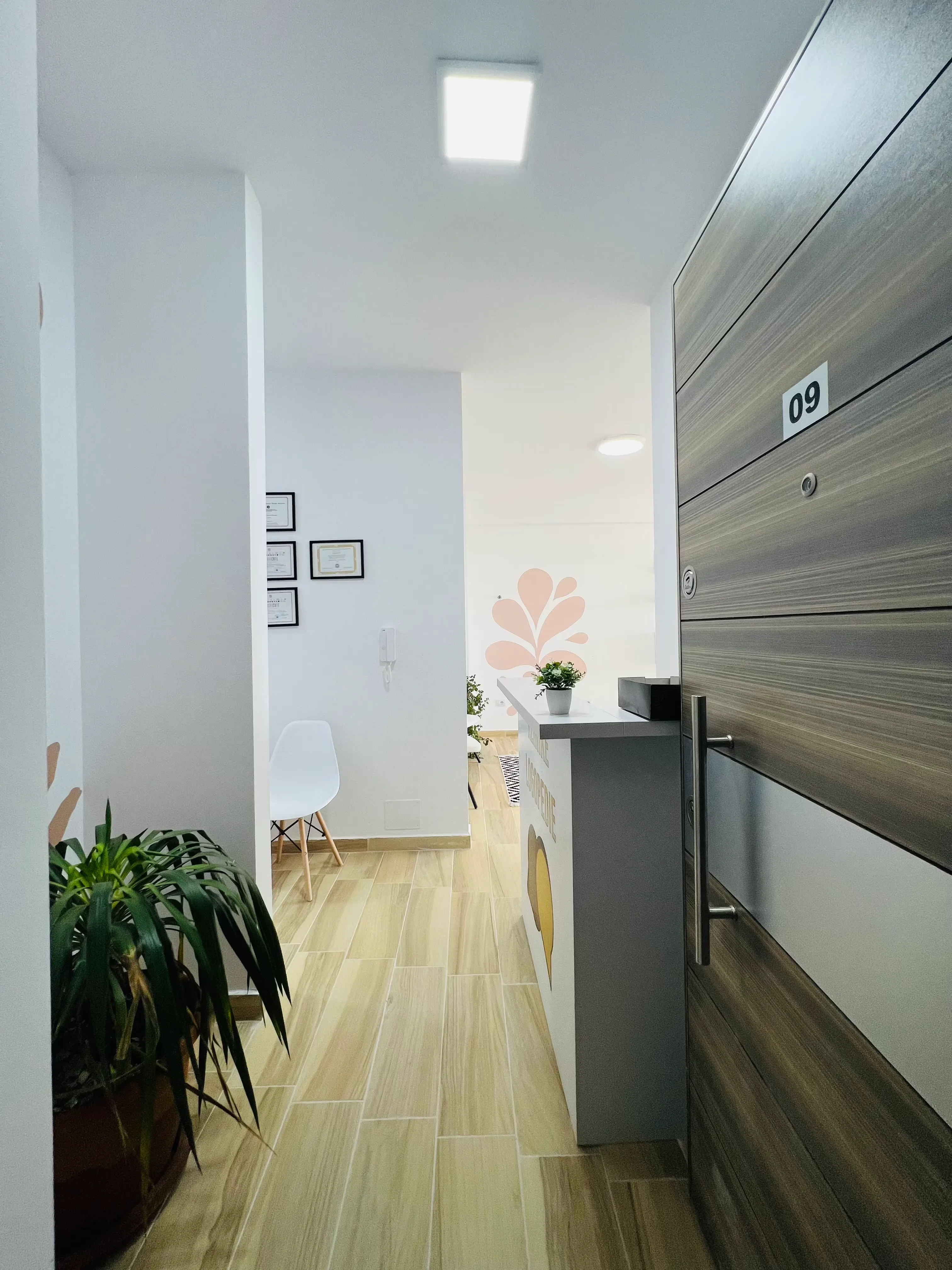 Menjëherë pas derës së klinikës: recepsioni, certifikatat në mur dhe një bimë
